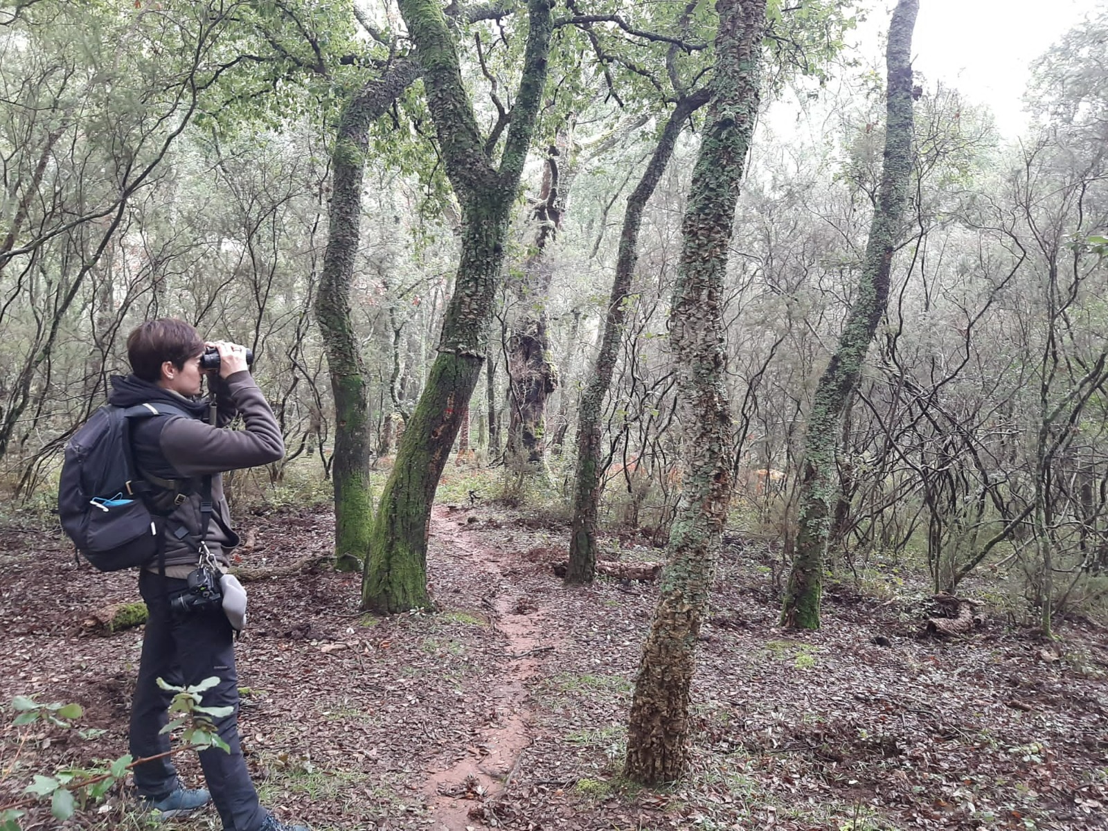 Al Via Una Campagna Di Studio Ricerca E Monitoraggio Della Fauna