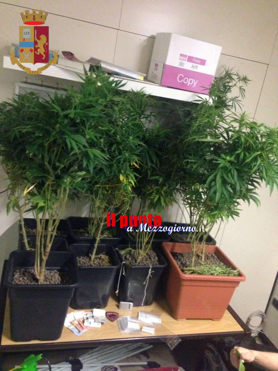 Narcoagricoltore in corso Trieste, ventenne trovato con 10 piante di marijuana nella cameretta