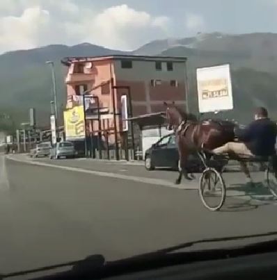 Corsa di cavalli clandestina sulle strade di Sora, denunciati 4 rom