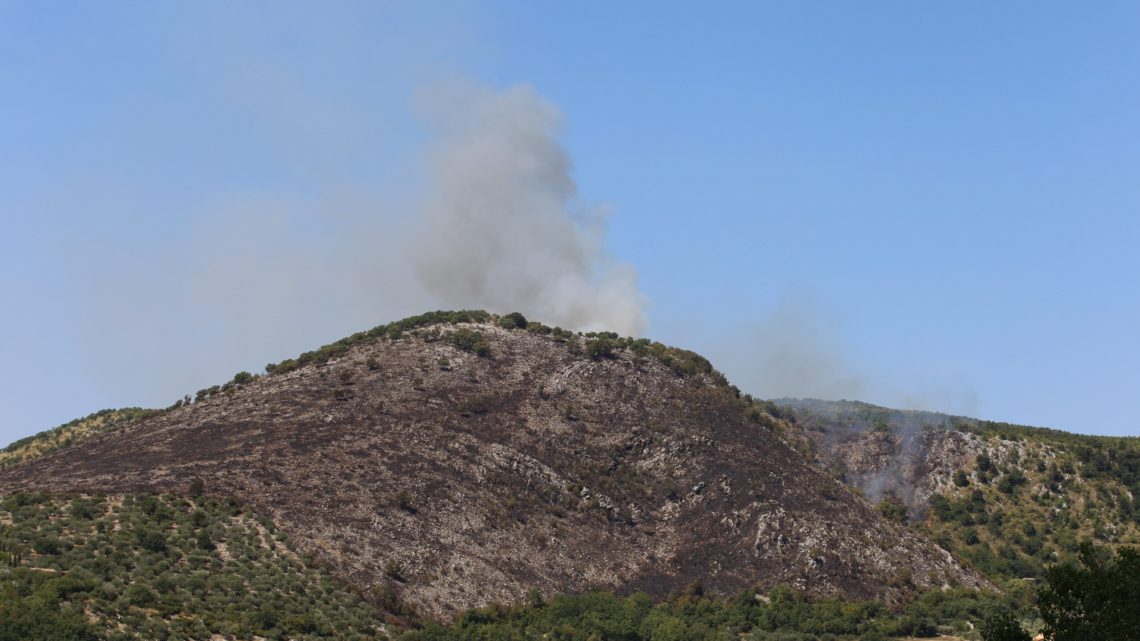 Pico – Incendio devasta monte La Taverna