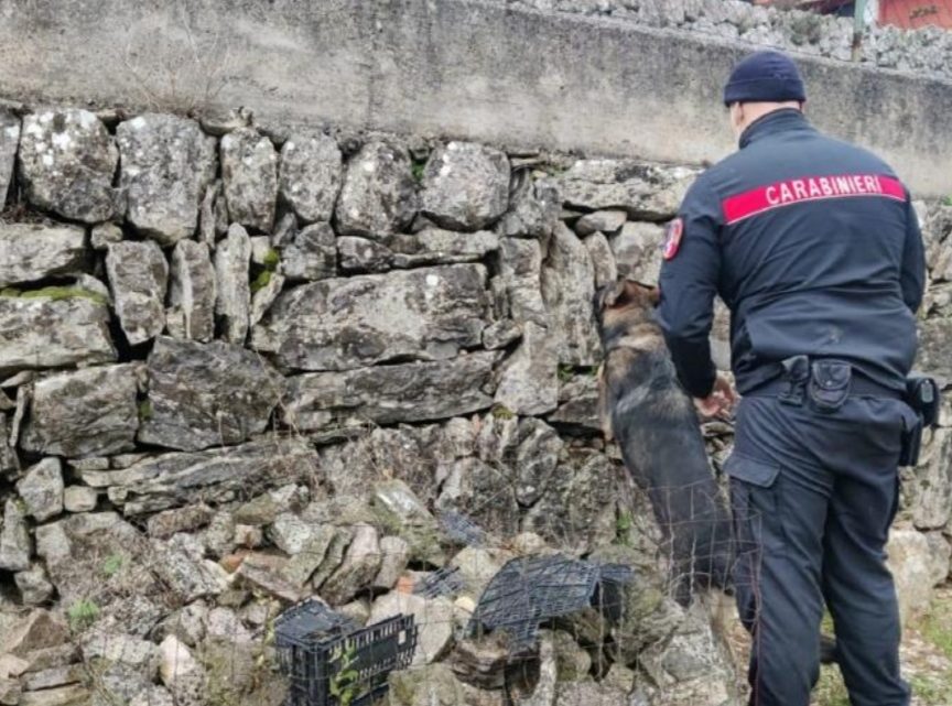 Perquisito dai carabinieri viene trovato con 71 grammi di hashish, 21enne arrestato a Castelnuovo Parano