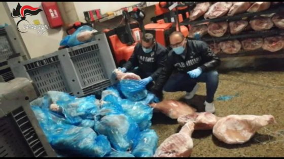 Parma - Sequestrate oltre 20 tonnellate di cosce di suino in cattivo stato di conservazione