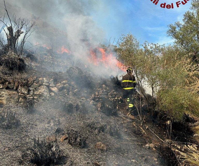 Vasto incendio boschivo a Venafro, tre mezzi aerei in azione