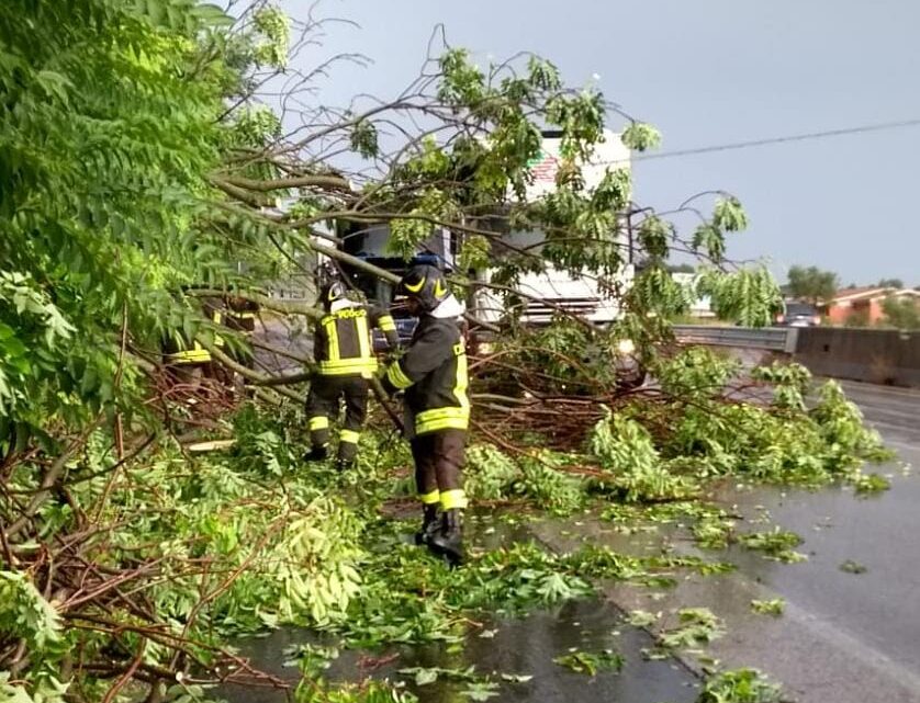 Maltempo – Allagamenti ed alberi caduti in provincia di Frosinone, numerosi gli interventi dei Vigili del Fuoco