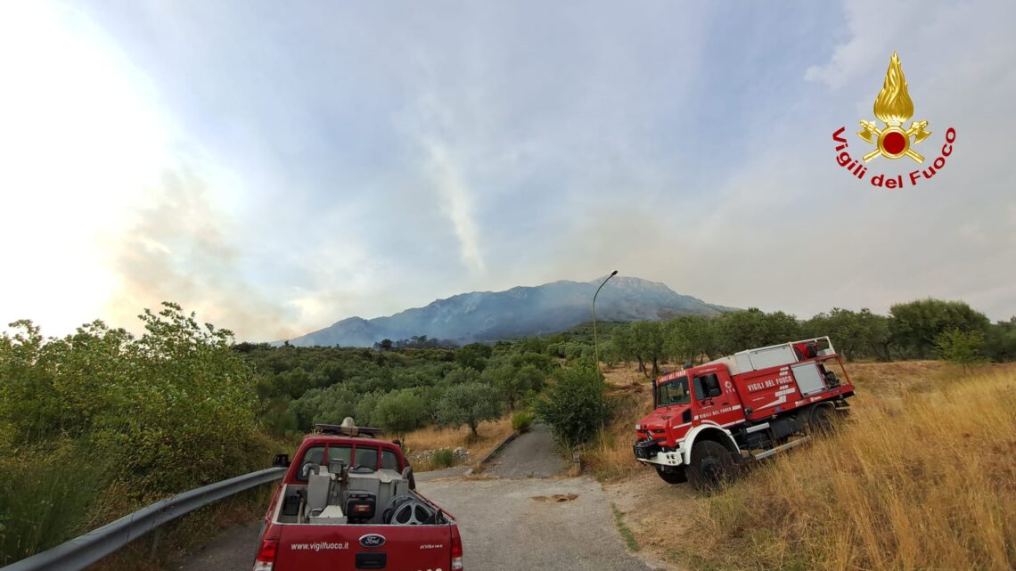 Vasto incendio sulla montagna a San Pietro Infine, due Canadair in azione