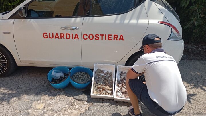 Controlli alla filiera del pesce a Scauri, sequestrati prodotti non tracciati