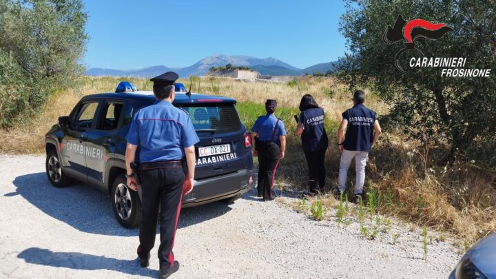 Frosinone – Contrasto al “caporalato” in agricoltura, sospese attività di  2 aziende per lavoratori “in nero”  e multe per 40mila euro