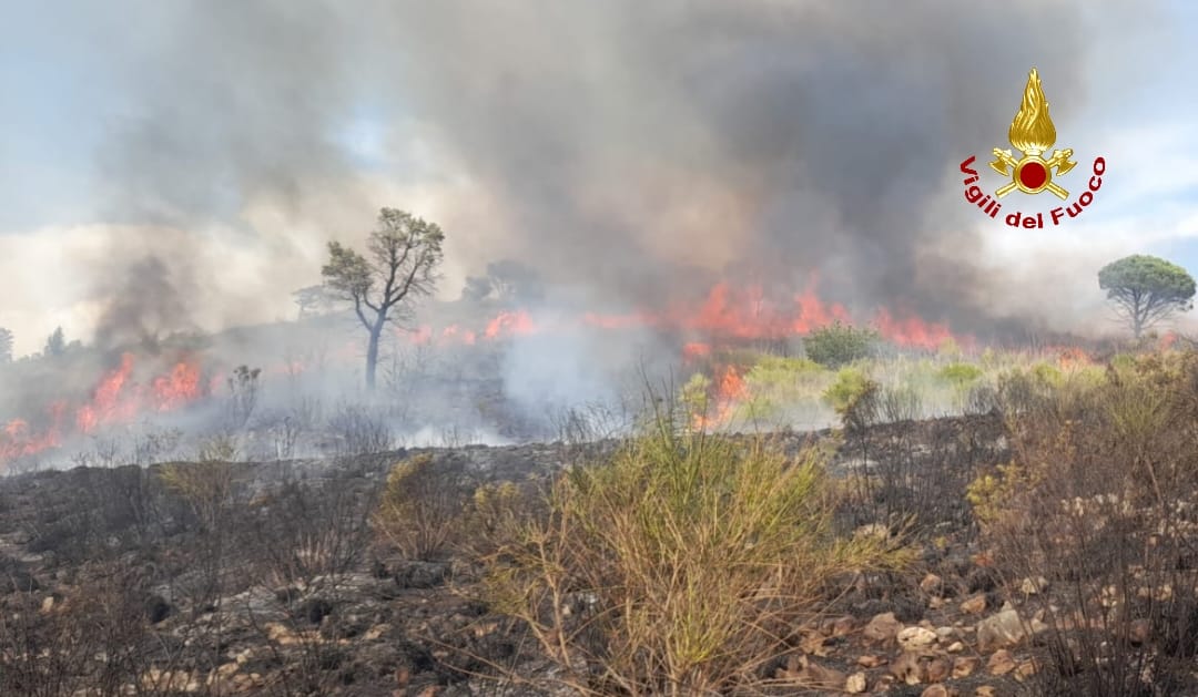 Novanta ettari di vegetazione incenerita a Priverno dopo 24 ore di incendi