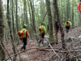 Intossicati dai funghi nel bosco a Vico nel Lazio, padre e figlio soccorsi con elicottero