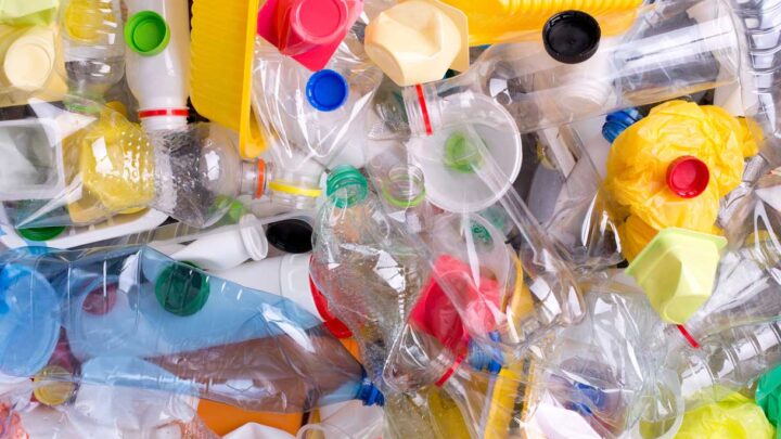 Raccolta differenziata: anticipata a giovedì          la raccolta della plastica per la festività del 1° novembre