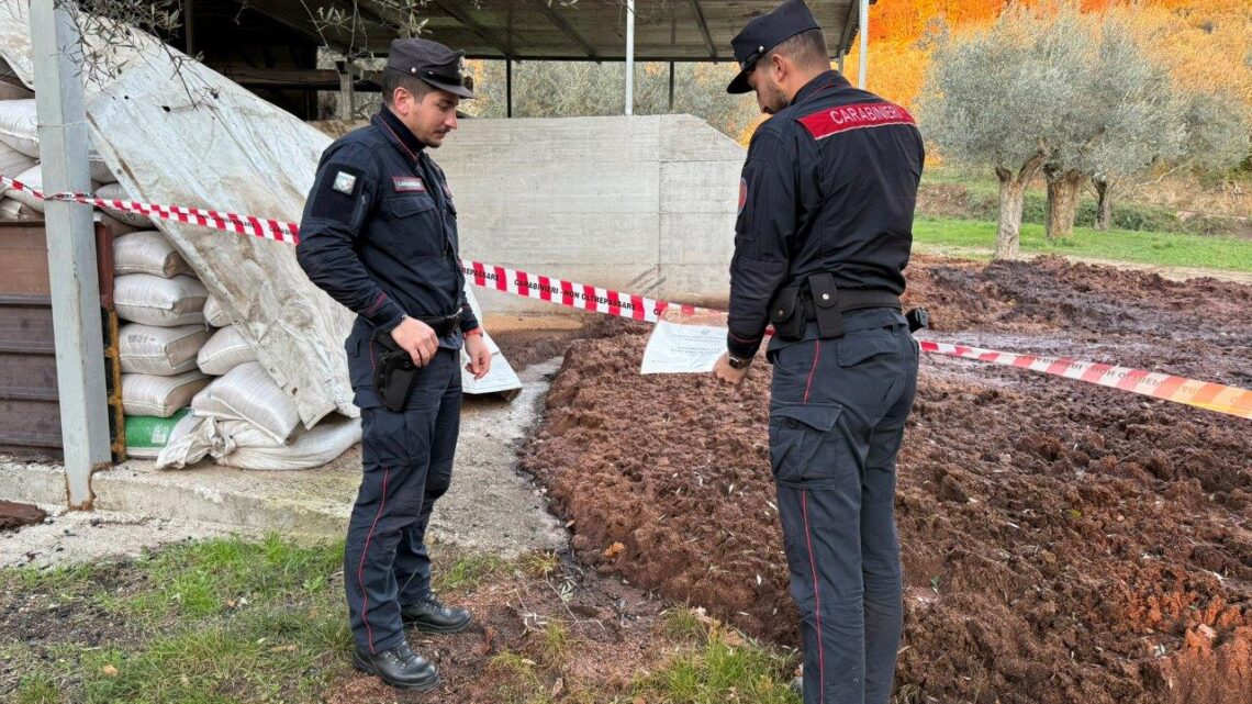 Conca della Campania – Carabinieri sequestrano area di smaltimento illecito di sanse umide prodotte da frantoio oleario