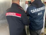 Gravi carenze igieniche, chiuso ristorante a Cassino dopo controllo dei Nas